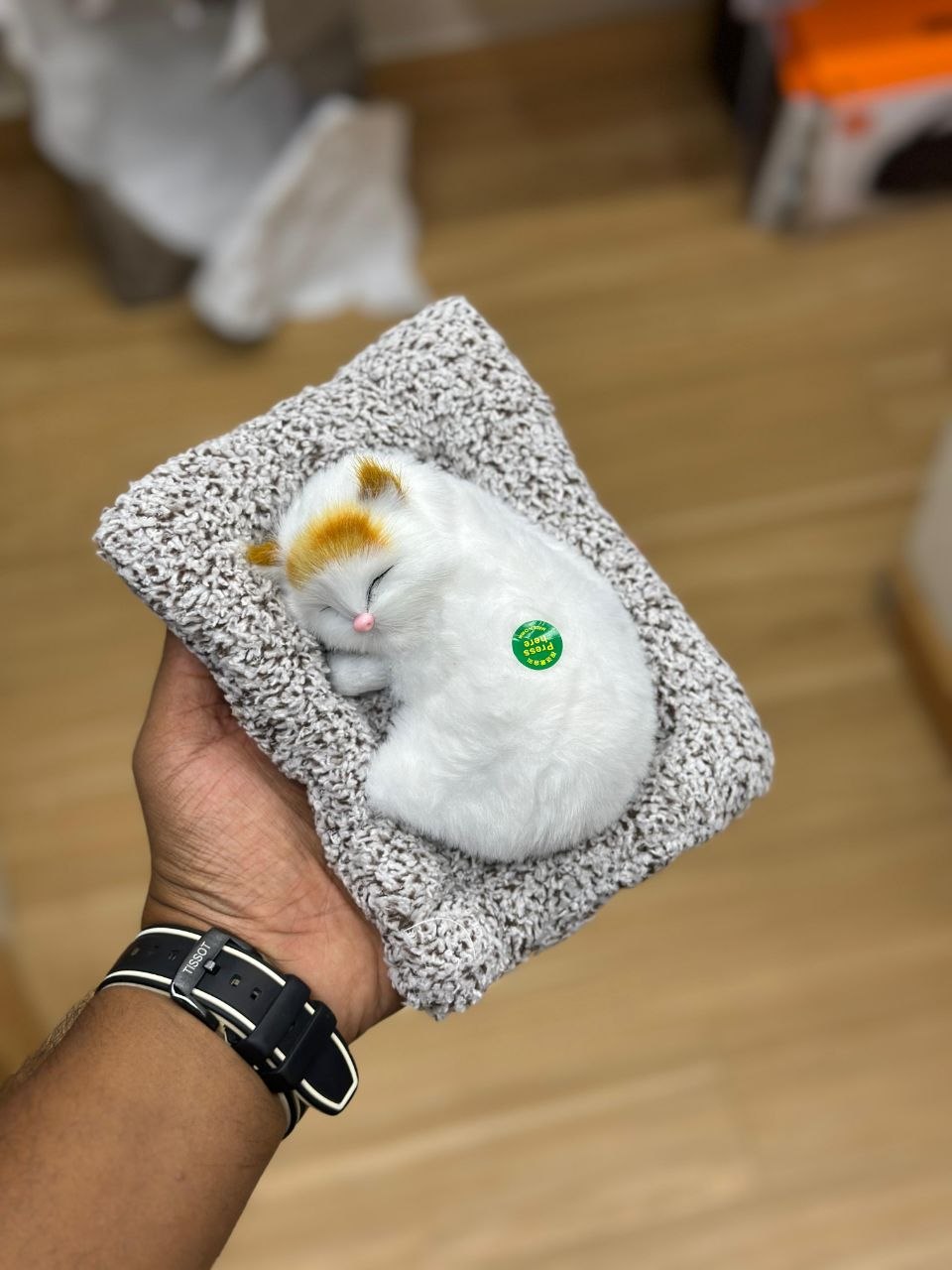 Sleeping Cat Plush Toy with Cushion