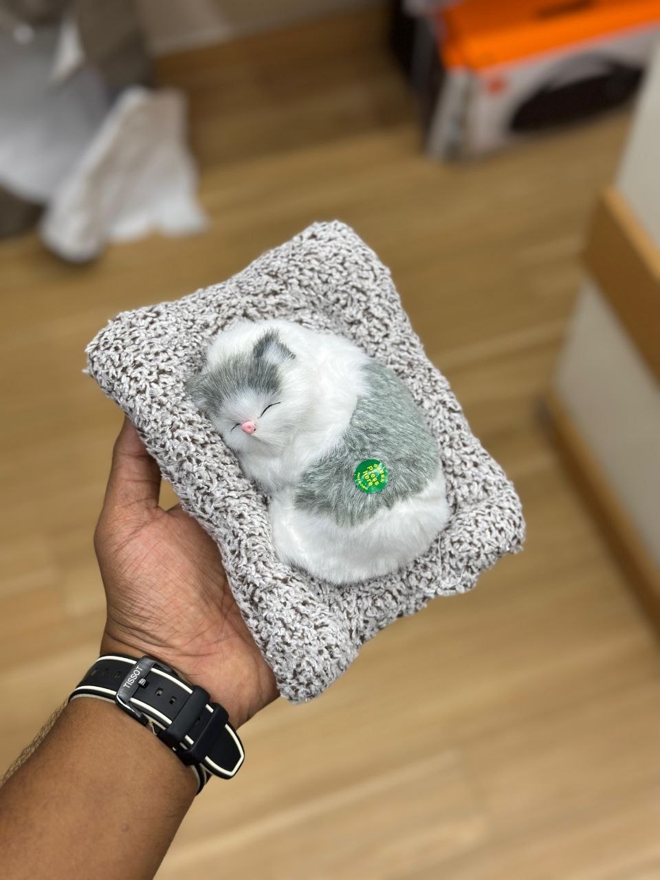 Sleeping Cat Plush Toy with Cushion