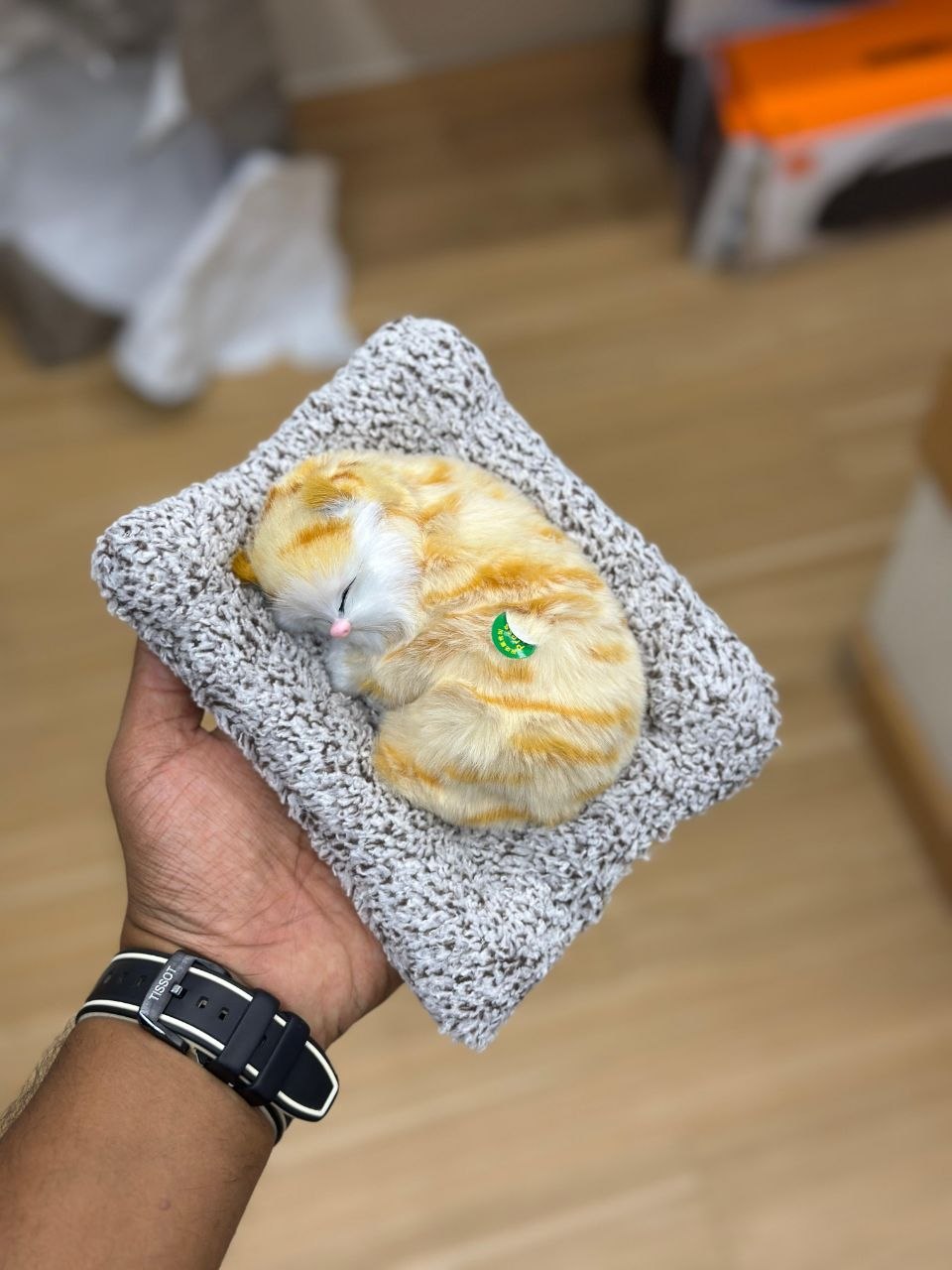 Sleeping Cat Plush Toy with Cushion