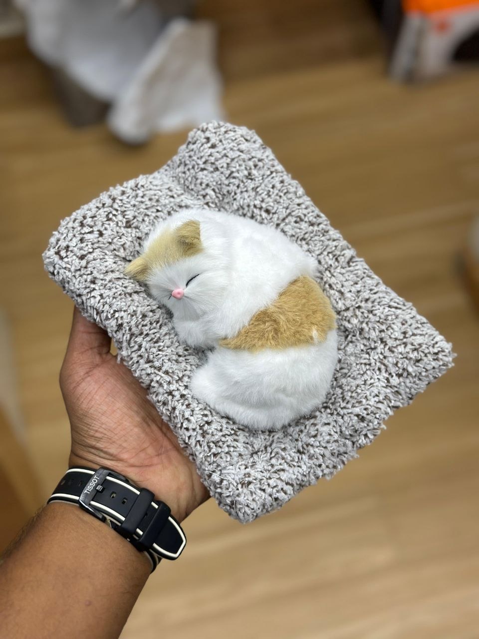 Sleeping Cat Plush Toy with Cushion
